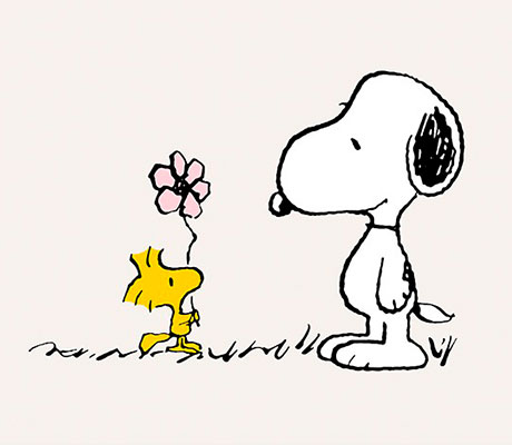 Woodstock dándole una flor a Snoopy en la tira de cómics de Peanuts