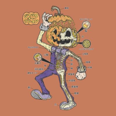 JACK O LANTERN ANATOMY