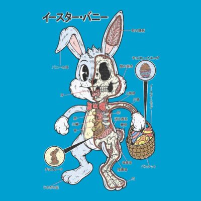 EASTER BUNNY ANATOMY