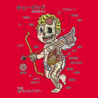 CUPID ANATOMY