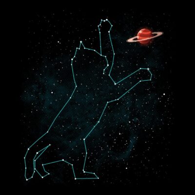 Space cat 72 bizarre