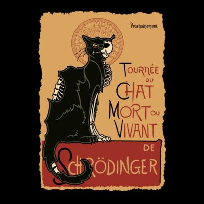 Le chat noir de Schrödinger