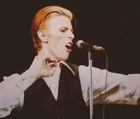 David Bowie