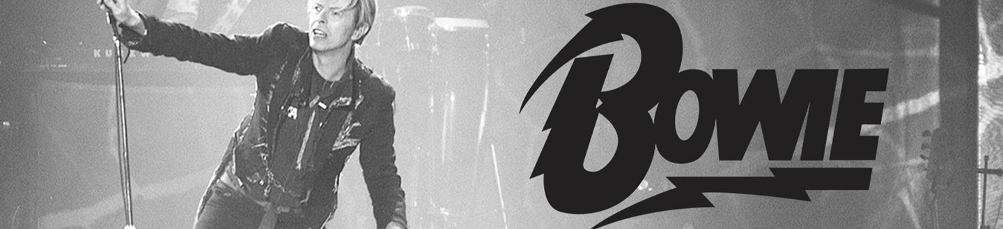 David Bowie banner