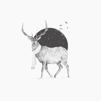 Winter Is All Around