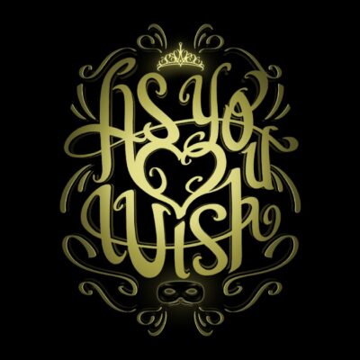 The Princess and the Pirate