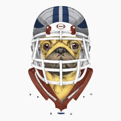 American Pug Football