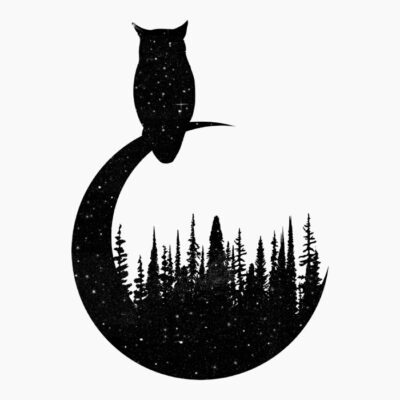 NIght Owl Nature