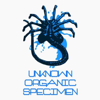 Face Hugger Specimen