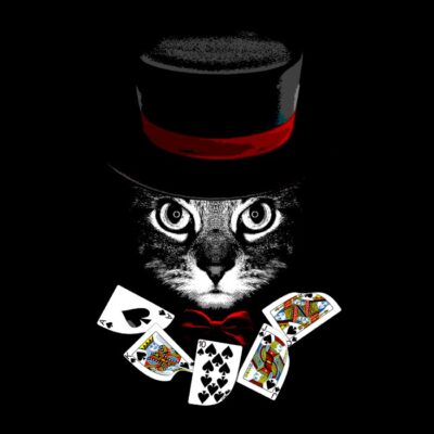 Illusionist cat