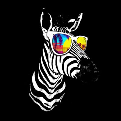 Cool Zebra