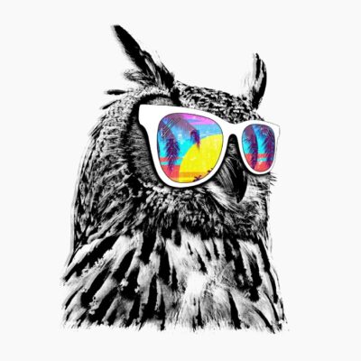 Cool owl