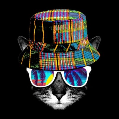Cool cat