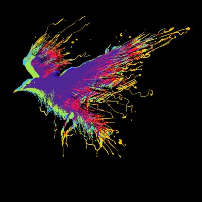 Colorful crow