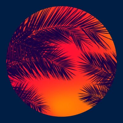 Palm Tree Sun