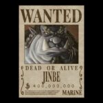 Timon pirata wanted op