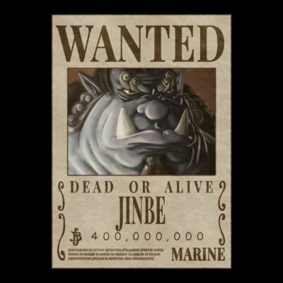 Timon Pirata Wanted Op