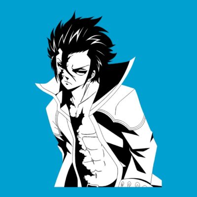 Fullbuster, Gray 2 FT