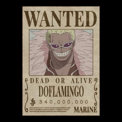 Pirate Flamingo Wanted OP