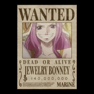PINK HAIR PIRATE Wanted OP