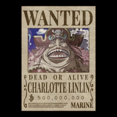 Pirate Mom Wanted OP