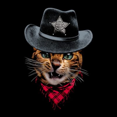 Sheriff house cat