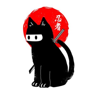 Ninja cat