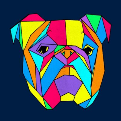 Geometry pug