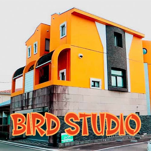 Bird studio