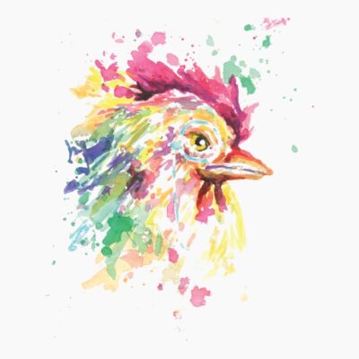 Colorful Chicken