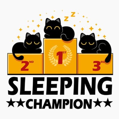 Sleeping Champion