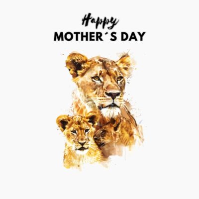 Feliz dia de la madre