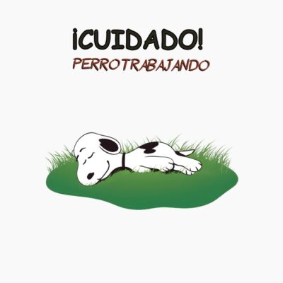 Beagle durmiendo, cuidado perro trabajando