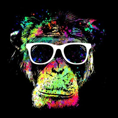 technicolor monkey