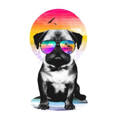 Summer pug