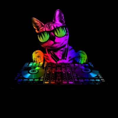 Cool dj cat
