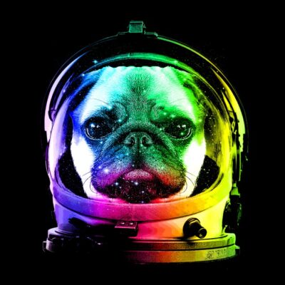 Astronaut pug