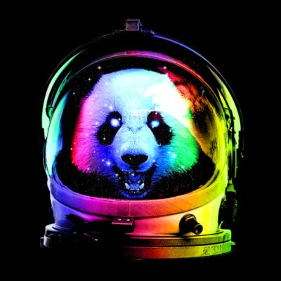 Astronaut panda