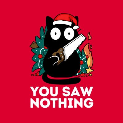 You saw nothing - Christmas Cat
