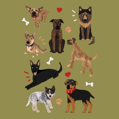 colorful dogs illustration copy