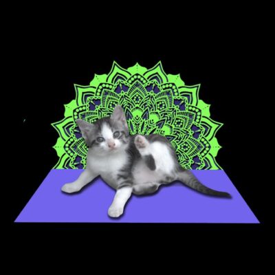 02 Retro Yoga Cat