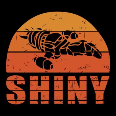 SHINY VINTAGE tiendas