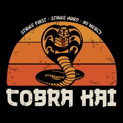 COBRA KAI VINTAGE v2 tiendas