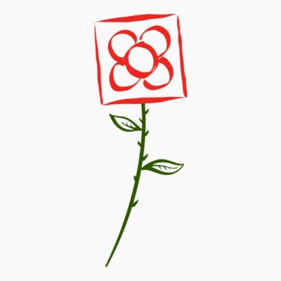 Rosa de Barcelona