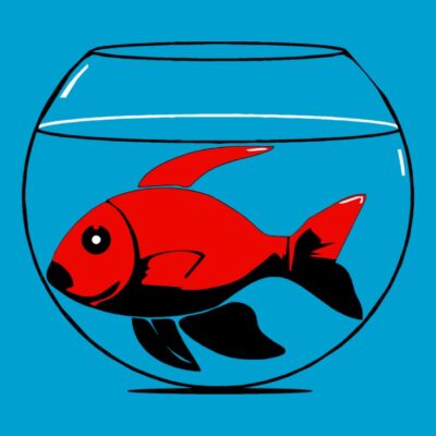 Fishbowl