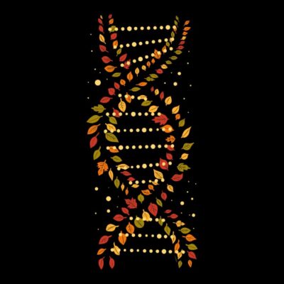 Autumn DNA