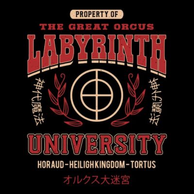 Labyrinth University