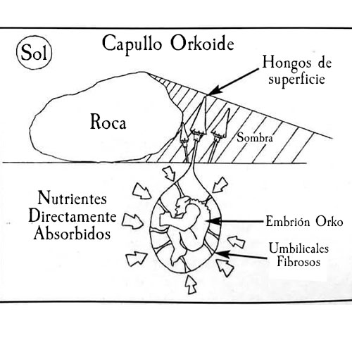 Justin keane - %product_tags%
