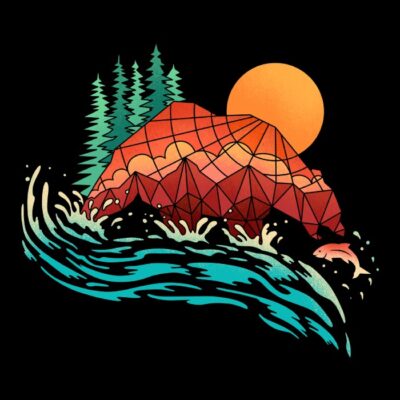 Wild balance bear catching fish