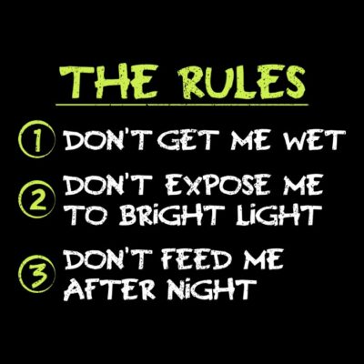 My three rules 80s movies